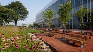 南広場は憩いの場