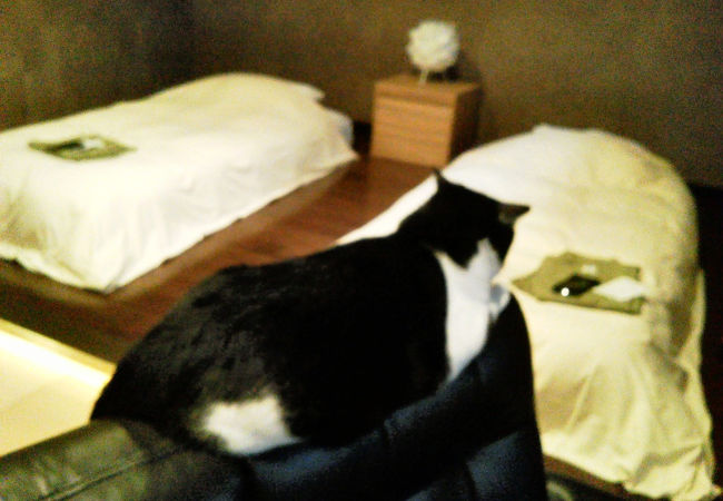 花房台温泉　ペットと泊まれる宿　Wa！王国狗の郷（くのさと）