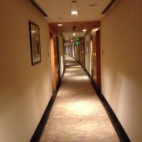 ホテル廊下。静かで快適です。