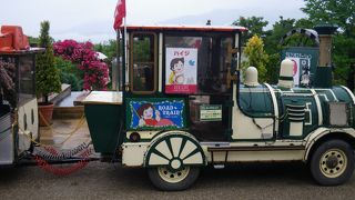 バラの苗もお手軽価格です