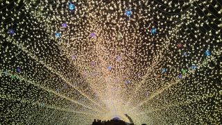 カップルに超お勧め！感動のイルミネーション！