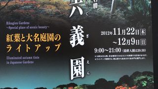 紅葉の頃のライトアップも見ものです