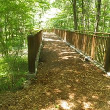 歩きやすい遊歩道です