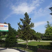 終点クイーンストンハイツまで行き、1駅花時計まで戻る。