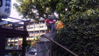 運がよければヌシカンさんにあえます