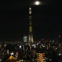 展望室から（夜）