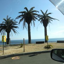 真正面の３本のフェニックスの木が目印。