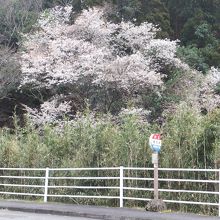 バス停。宮崎方面行き。