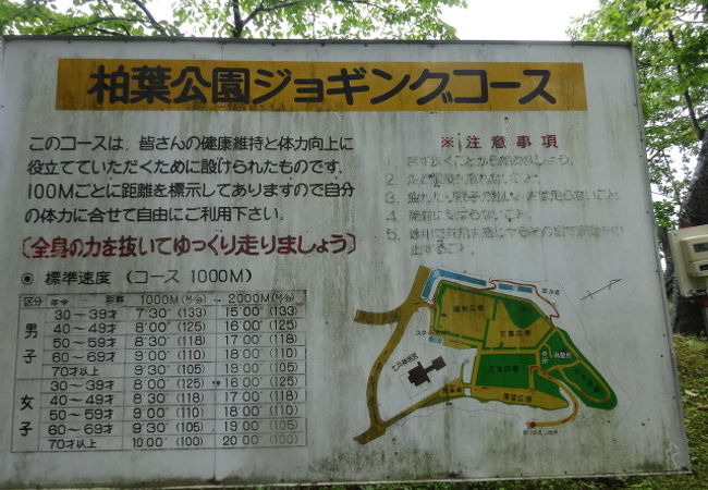 柏葉公園