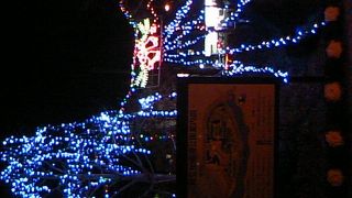 彼女と行きたいなぁ♡