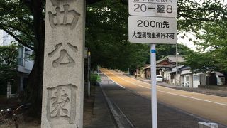 お勧めは桜の季節