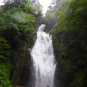 水量が多い