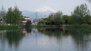 市街地でも富士山が絶景