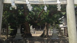 寿福寺・英勝寺の手前にあります!!