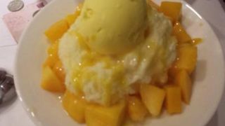 冬でもマンゴーが！