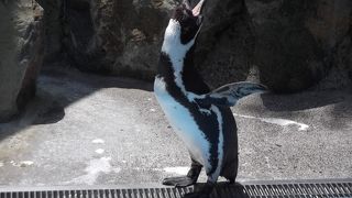 入場無料です。