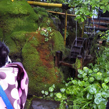 にゃんこも気に入りました。