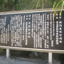 「青島亜熱帯性植物群落」は特別天然記念物なんですね