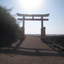 完全な逆光ではありますが、「青島神社」の鳥居です