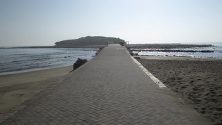 ついに見ることができました