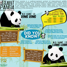 パンダのプロフィール