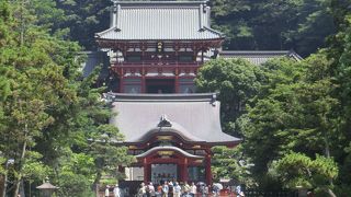 夏は暑いので春や秋がお勧めかも？