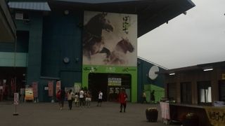 そりを引いて走るばん馬