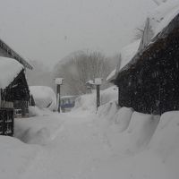 雪が降り続く本陣前