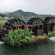 朝倉のシンボルです