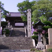 歴史ある神社の門前から一望できる景色