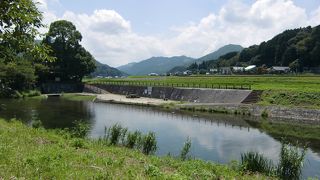 今川公園キャンプ場