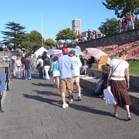インナーハーバーのスナップ