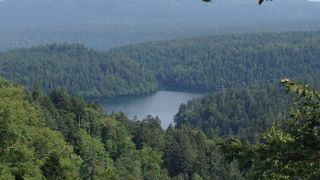 一度は見てみたい