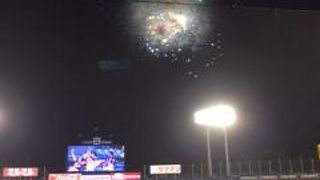 ヤクルトスワローズ本拠地