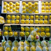 宮崎特産品・日向夏