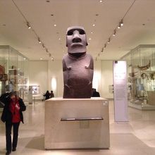 思いのほか小さかったモアイ像