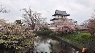見応えばっちりお花見☆