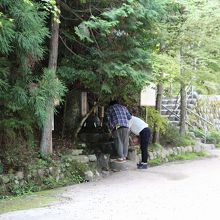 願いが叶うといいですね・・・