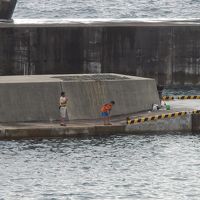 釣りをした目の前の漁港