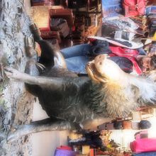 チャレンジしてみるべき