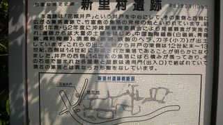 草が茂ってわかりづらいかも「新里村遺跡」～竹富～