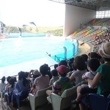 イルカショーは必見！