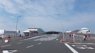 愛称「くじらのせなか」「くじらのおなか」