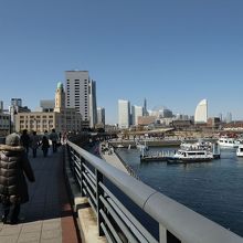 登ってみました。