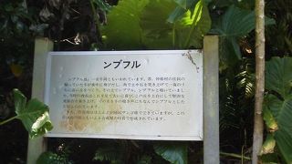 石畳の道でガタゴトして「ンブフルの丘」～竹富～