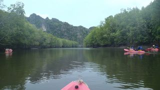 わいるどぉ！！