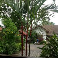 受付からの様子