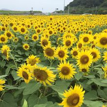 近くにはこんな場所もありました。