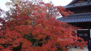 雪舟のねずみの絵