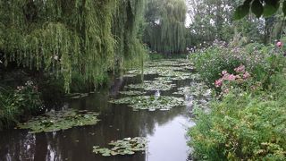 モネの「睡蓮」